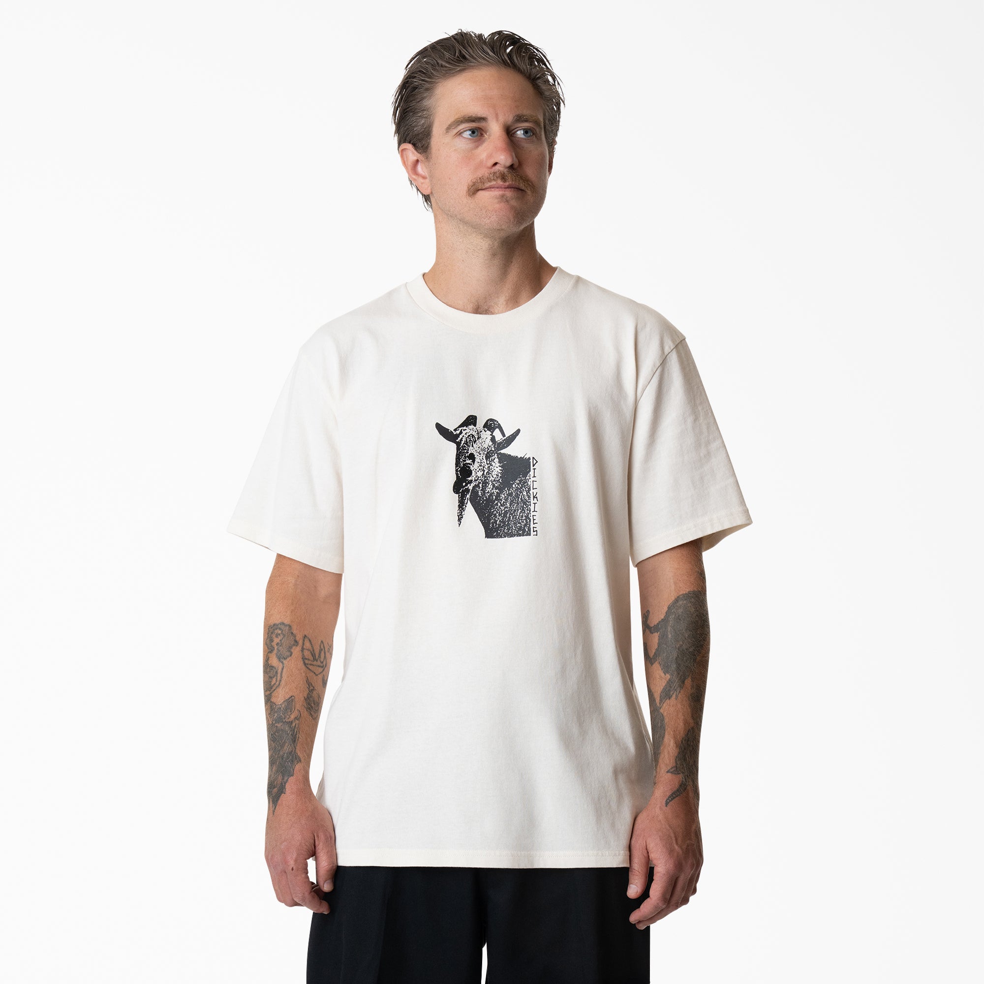 Mike Anderson Graphic T-Shirt | Dickies